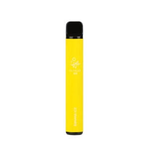 Elf Bar 600 Disposable Vape | Guardian Vape Shop