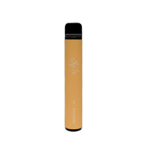 Elf Bar 600 Disposable Vape Puff | Guardian Vape Shop