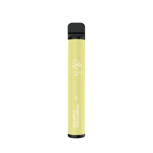 Elf Bar 600 Disposable Vape Puff | Guardian Vape Shop