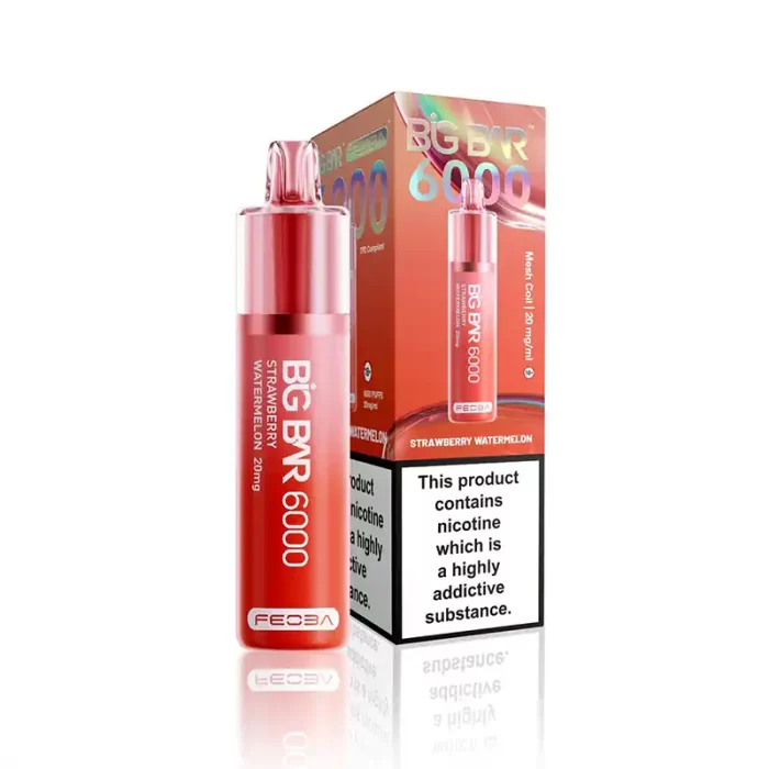 Feoba Big Bar 6000 Disposable 6000 Puff Strawberry Watermelon | Guardian Vape Shop