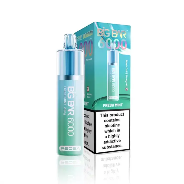 Feoba Big Bar 6000 Disposable 6000 Puff Fresh Mint | Guardian Vape Shop