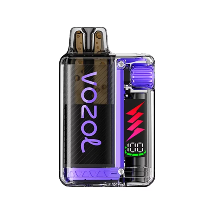 Vozol Vista Plug 10k Puff Disposable Blueberry Sour Raspberry | Guardian Vape Shop