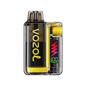 Vozol Vista Plug 10k Puff Disposable Pineapple Ice | Guardian Vape Shop