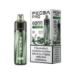 Feoba Pro 6000 Puffs Disposable Watermelon Ice | Guardian Vape Shop