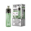 Feoba Pro 6000 Puffs Disposable Fresh Mint | Guardian Vape Shop
