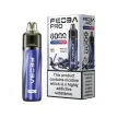 Feoba Pro 6000 Puffs Disposable Blueberry Sour Raspberry | Guardian Vape Shop