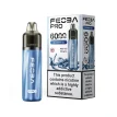 Feoba Pro 6000 Puffs Disposable Blueberry Ice | Guardian Vape Shop