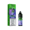 Blueberry - DOJO LIQ NIC SALT BY VAPORESSO